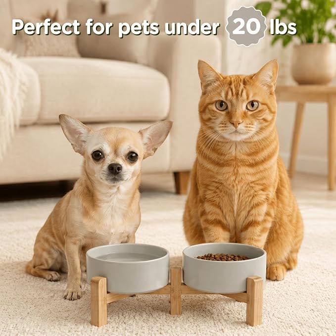 SPUNKYJUNKY Elevated Dog Bowls Ceramic, 5.1'' Dogs and Cat Food Water Bowls Raised with Non-Slip Bamboo Stand for Puppy Small Sized Breed Microwave Dishwasher Safe - 13.5 OZ,Grey
