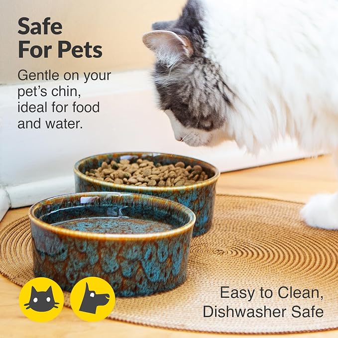 Ceramic Bowl for Soup, Ice Cream, Rice, Pasta, Cereal, Dog, Cat, Pet Food | Microwave and Dishwasher Safe, Durable Ceramic for Everyday Use. Match with other Elevated Lifestyle Kitchen Accessories