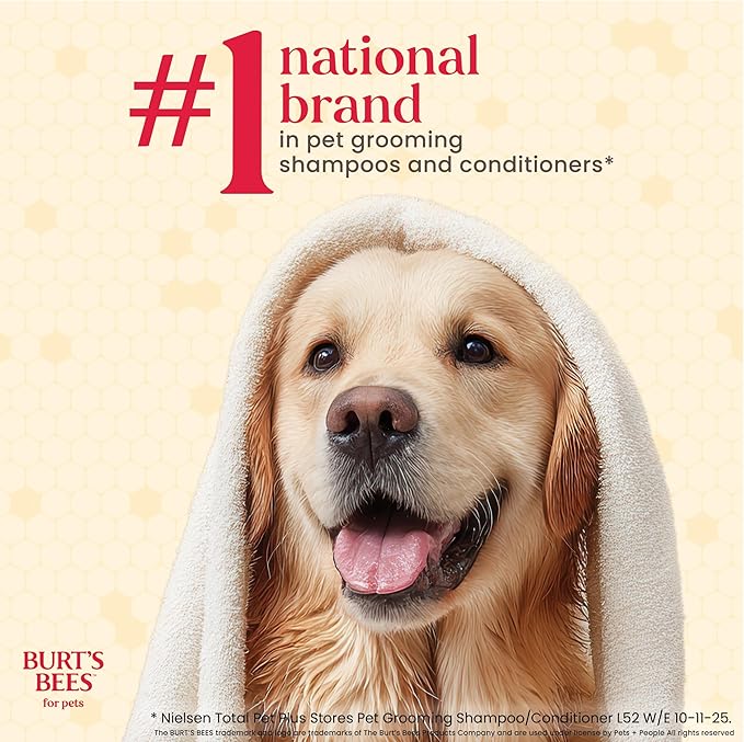 Burt's Bees for Pets Deodorizing Shampoo for Dogs, Manuka Honey & Charcoal, Reduces Odor, 95%+ Natural Origin, No Sulfates, Parabens or Phthalates, Leaves Milk & Honey Scent, 16 Fl Oz