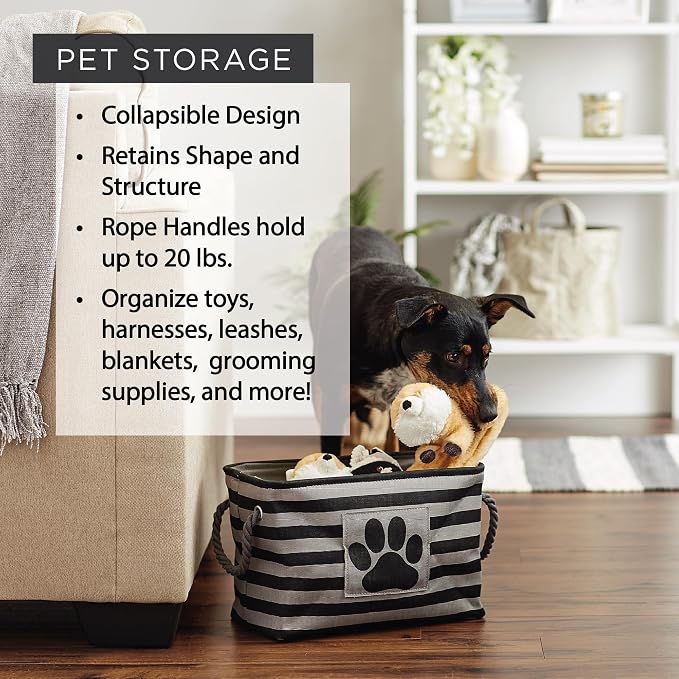 Bone Dry Pet Storage Collection Collapsible Bin, Small Rectangle, Aqua