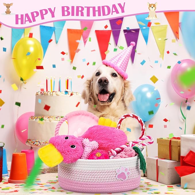 Zopeal Dog Toy Gift Basket Set for Puppy Birthday, Pink