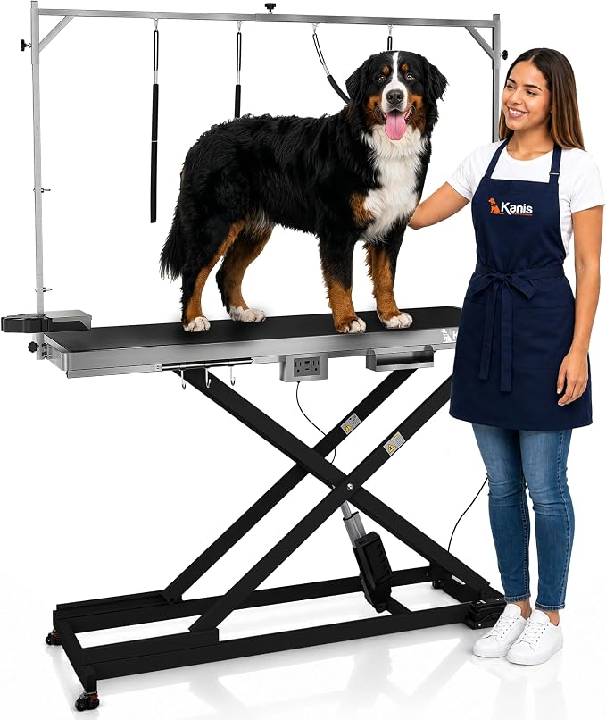 Professional Electric Dog Grooming Table - Heavy Duty | Height Adjustable Pet Grooming Table w/Leveling Wheels, Dog Grooming Arm, Anti-Slip Tabletop & Tool Organizer (Black, 60")