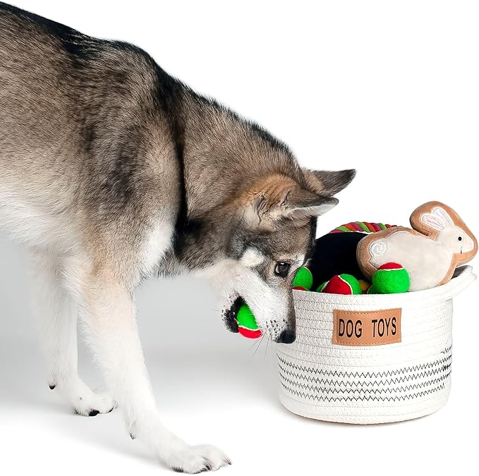 Midlee Dog Toy Rope Cotton Basket (Small)