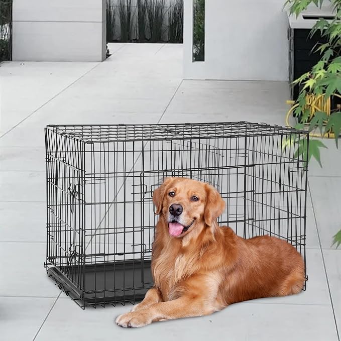 FDW | 48" Foldable Metal Dog Crate | Black | Cage for XL Dogs | Heavy Duty, Portable Wire Kennel with Double Door, Divider & Leak-Proof Tray | For Training, Home, Travel Indoor/Outdoor Use