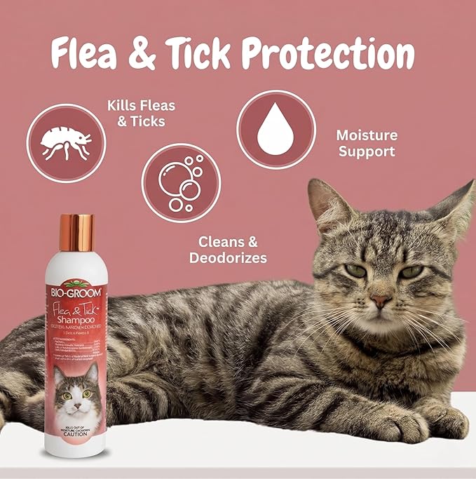 BIO-GROOM Cat Flea & Tick Conditioning Shampoo (8 oz.)