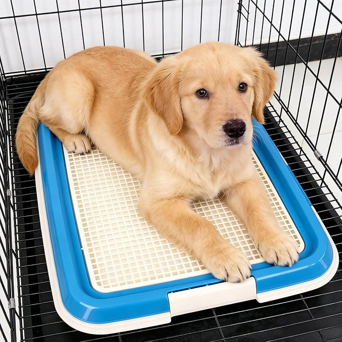 Dog Potty Tray for Small Dogs, Puppy Potty Training Tray 19.7"x14.6" Indoor Dog Toilet, Leak-Proof Pet Pads Holder (Blue)
