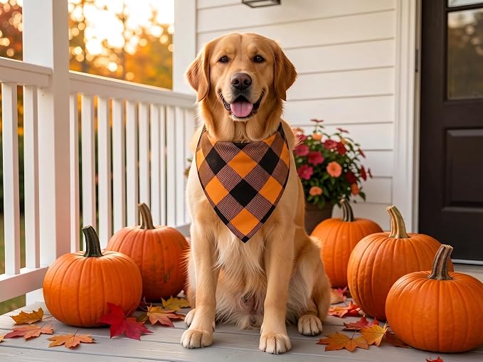 Fall Dog Bandanas 2PCS Halloween Pumpkin Spider Web XLarge Dogs | Reversible dog bandanas for fall & Halloween & Thanksgiving. Orange plaid/pumpkin/Spider Web design. Fits extra large dog