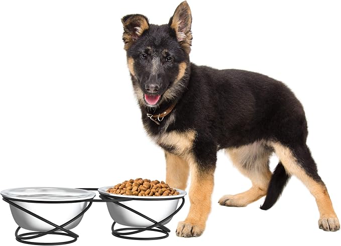 Set of 2 Stainless Steel Dog Bowls - 40oz Pet Bowls with Decorative Dog Food Stand - Metal Food and Water Dishes for Large Pets - Puppy Essentials by PETMAKER (Silver/Black)
