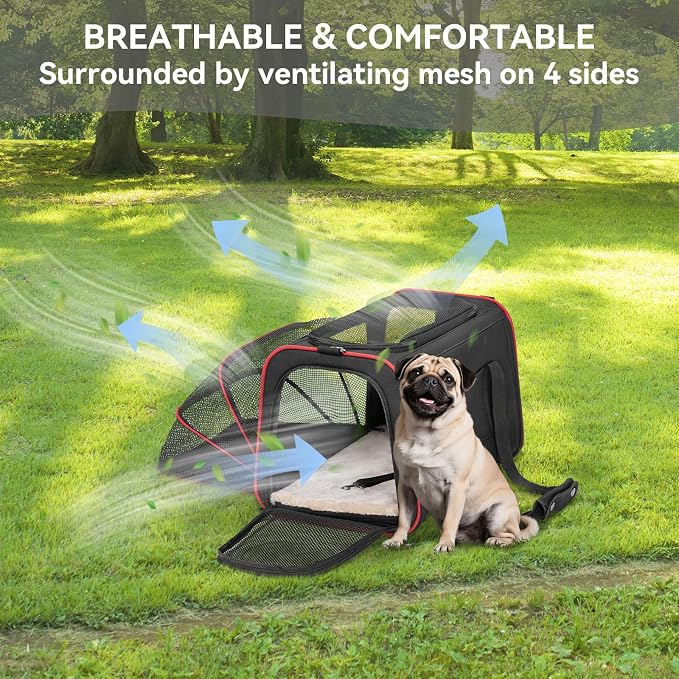 Petsfit Large Expandable Cat Carrier for Travel, Up to 18 lb | 19 x 12 x 12 in; roomy expandable space with a reinforced frame, locking zippers, interior safety tether and large pocket.