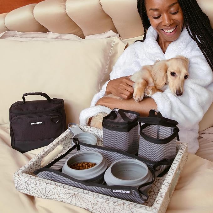 Small 7-Piece Bistro Box Dog Food Travel Kit, 6-Cup BPA-Free Kibble Storage, 2 Silicone Bowls, Mat & Scoop - Portable Pet Food Kit for Weekends, Overnights, Daycare & Camping, Graphite