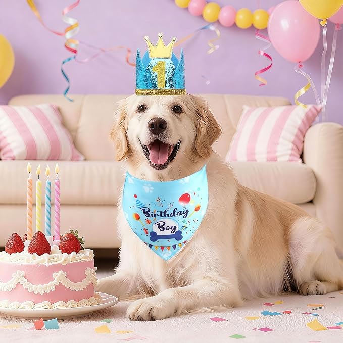 Rensh Dog Birthday Party Supplies, Dog Birthday Bandana Hat with Numbers for X-Large Large Small Pets, Multi Size Birthday Decorations for Dogs and Cats (Blue, Large)