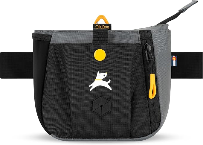 OllyDog Backcountry Day Bag | Dog Training Treat Pouch | Eco-Friendly Recycled Fabric Fanny Pack with Zipper Closure, Built-in Poop Bag Dispenser & Adjustable Waist Belt (Castle Rock)
