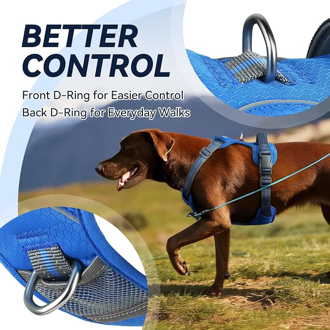 VIVAGLORY No Pull Dog Harness Vest Harness, XS, Royal Blue - Patterned | with Handle Front and Back Clip for Training & Pulling, No Pull & Escape Proof Padded Adjustable for Pet Puppy