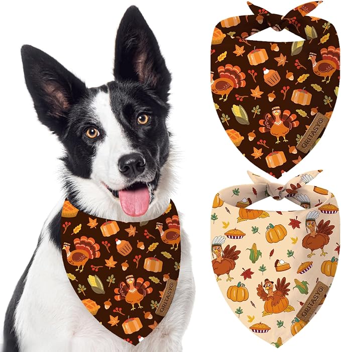 Thanksgiving Fall Dog Bandanas, 2-Pack Triangle Reversible Turkey Pumpkin Pet Scarves, Premium Fabric, Bandana for All Boys Girls Dogs (Large, Style 1)