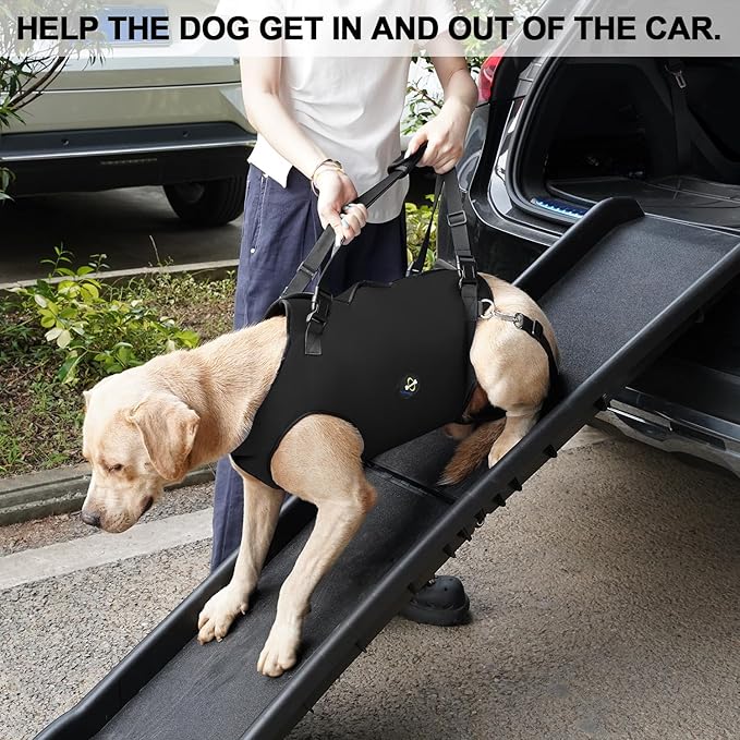Coodeo Dog Lift Harness, Pet Support & Rehabilitation Sling Lift Adjustable Padded Breathable Straps for Old, Disabled, Joint Injuries, Arthritis, Loss of Stability Dogs Walk (Black, M)