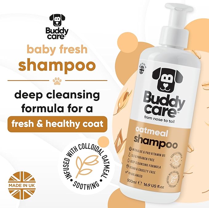 Buddycare Oatmeal Dog Shampoo for Smelly Dogs (16.90oz) - Hypoallergenic & Itch Relief Formula, Gentle on Sensitive Skin, Includes Dog Shampoo and Conditioner - Essential Dog Grooming Supplies