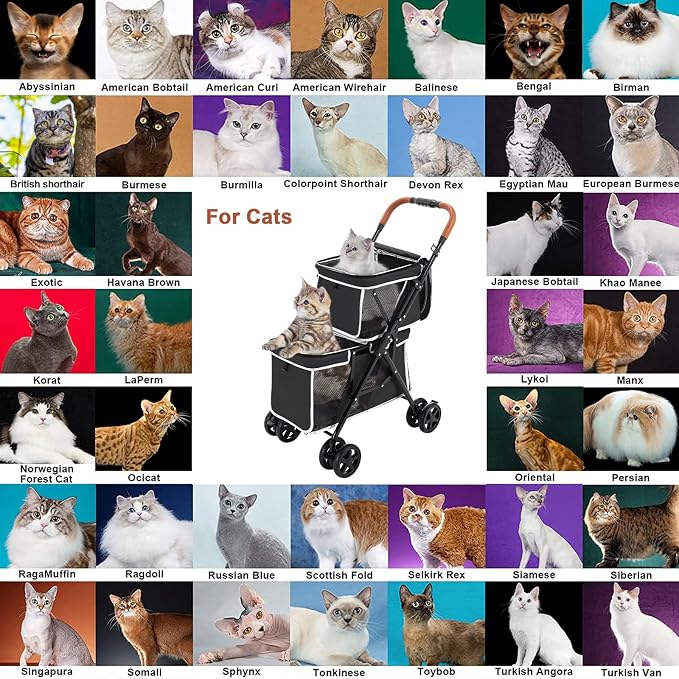 Double Pet Stroller for 2 Dogs & Cats, Double-Decker, Black | One-Hand Fold Two-Tier Stroller with Separate Cabins, 44 lb Capacity, 4 Tethers, Locking Front Wheels and Rear Brakes