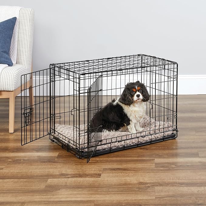 New World by Midwest 30-Inch Double Door Crate, Medium Breeds, 21-40 lbs | Folding Dog Crate, Leak-Proof Tray & Secure Latches, Portable, Durable & Easy to Assemble