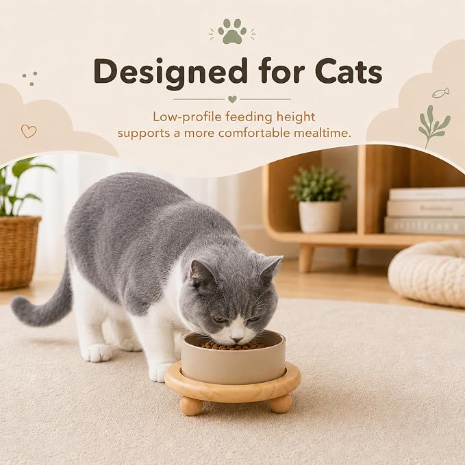 Havniva Raised Cat Bowl 5.1” Elevated Ceramic Cat Food and Water Bowl | Cat Bowls Elevated, Whisker Friendly Cat Bowl, Non-Slip Wood Stand, Food-Grade Ceramic, Wide Opening, Dishwasher Safe