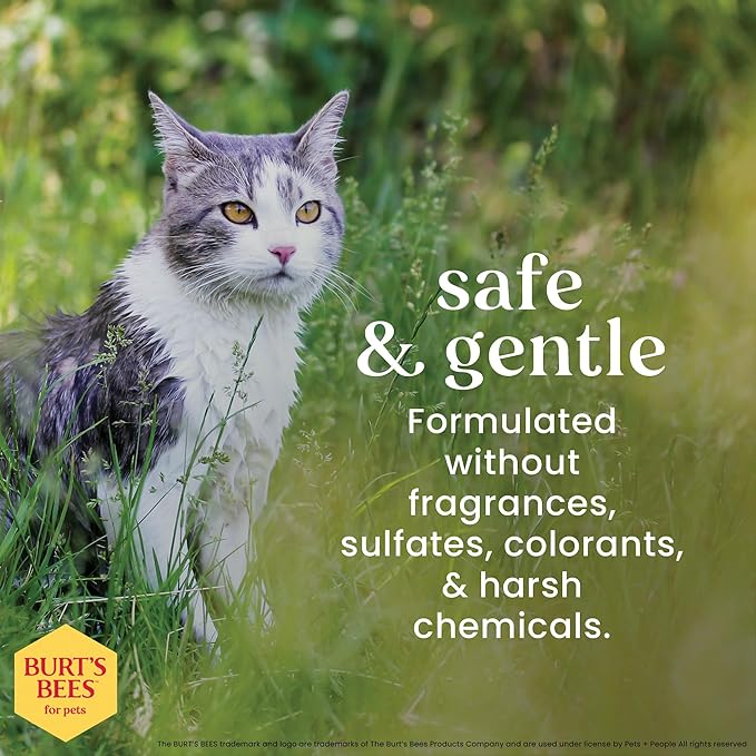 Burt's Bees for Pets Cat Dander Remover Wipes, Unscented Soft Grooming Cloths with Colloidal Oat Flour + Aloe, Helps Reduce Flaking Between Baths for Cats & Kittens, 50 Count - 6 Pack