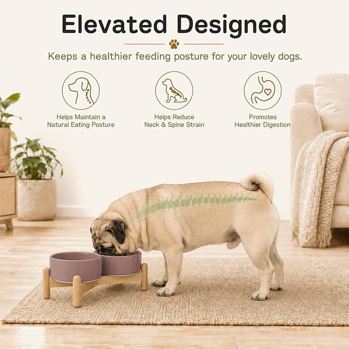Havniva Ceramic Dog Bowls Elevated, Raised Dog Food Bowl for Puppies | 5.1” Elevated Dog Bowls, Non-Slip Wood Stand, Dog Food and Water Bowl Set, Dog Feeding Dish, Large Capacity Pet Water Bowl