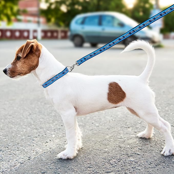 NFL PET Tennessee Titans Dog Leash, Small Football Team Leash for Dogs & Cats - Shiny & Colorful, Licensed by The NFL