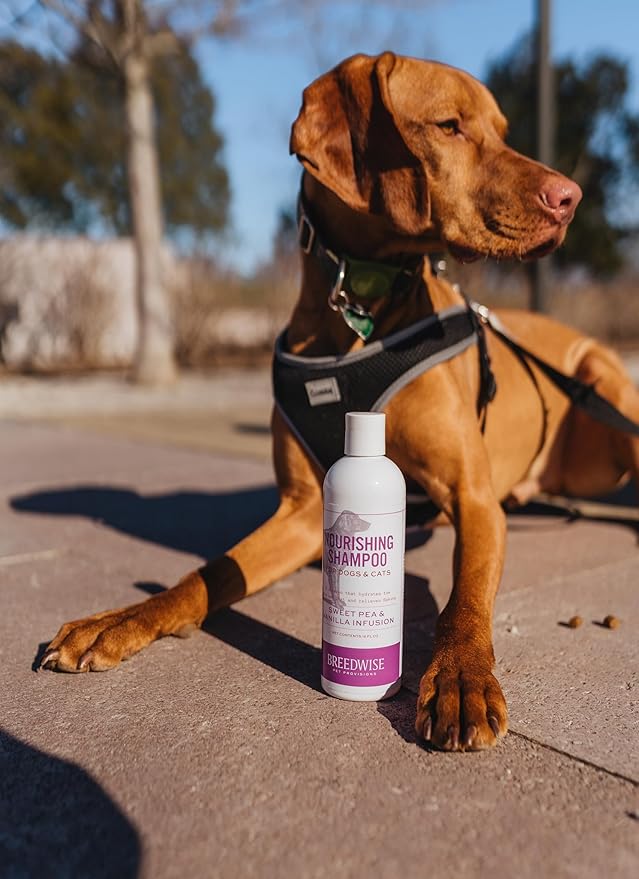 Breedwise Dog and Cat Shampoo - Hydrating Gentle Cleanse for Sensitive Skin - Supportive Flea and Tick Care - Sweet Pea & Vanilla Scent - 12oz - Made in USA