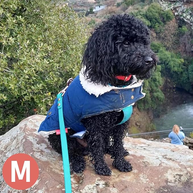 KYEESE Waterproof & Windproof Dog Coat for Small Dogs Puffer Jacket