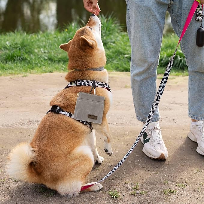 Dog Treat Pouch, Portable Auto Closing Dog Training Treat Bag with Carabiner, Hands Free Pocket Sized Snack Reward Pouch for Puppy Walking Travel Outdoor Use, Gray