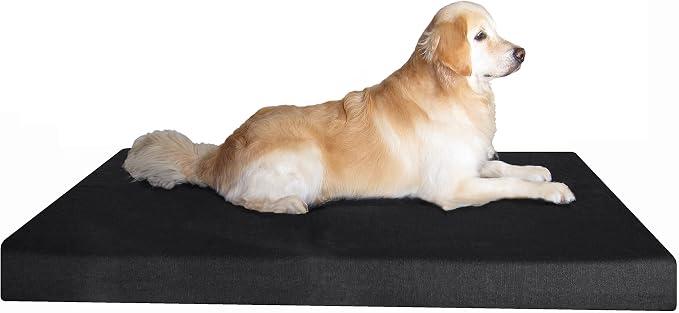 Dogbed4less Jumbo Orthopedic Cool Memory Foam Dog Bed for Extra Large Dogs with Durable Canvas Cover, Waterproof Liner and Extra Brown Microsuede Antislip Duvet, 55X47X4, Black