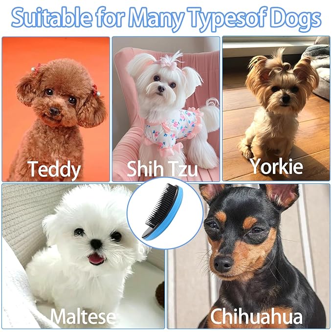 2 Pcs Small Dog Brush Puppy Brush for Small Dogs Soft Dog Bath Brush Gentle Dog Hair Remover Brush Grooming Tool for Teddy Yorkies Maltese Shih Tzu Chihuahua Puppy Hair Brush, Blue