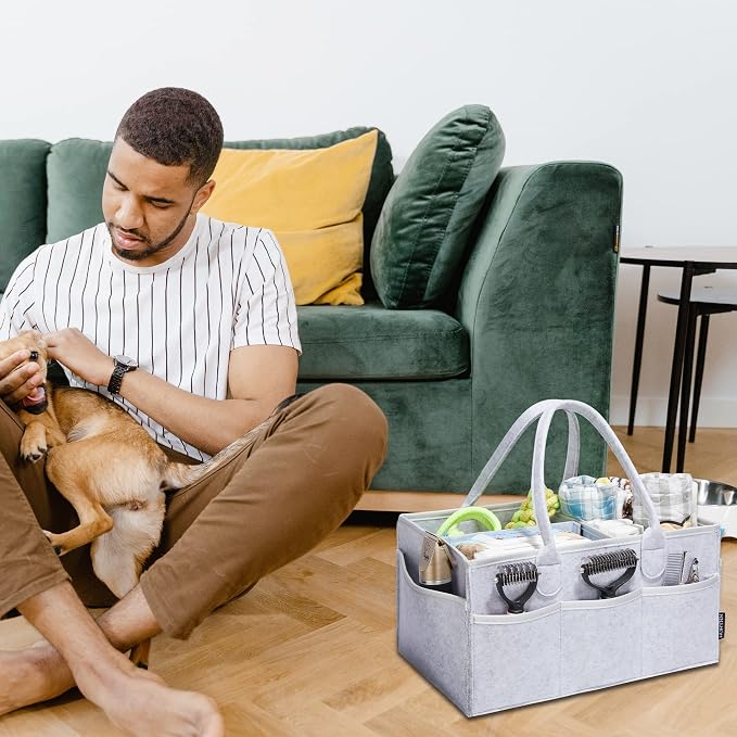 Pet Grooming Tote, Dog Grooming Supplies Organizer, Travel Outdoor (Bag ONLY) (Sliver Grey)