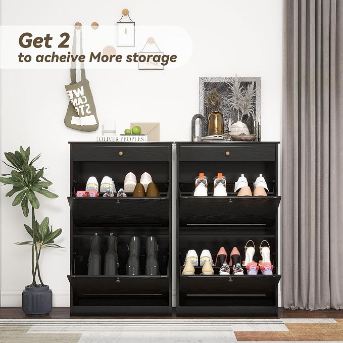Shoe Storage Cabinet with 2 Flip Drawers, Shoe Cabinet Organizer, Black | Freestanding Hidden Shoe Rack Cabinet with Door, Pet-Proof Shoe Cabinet Storage for Entryway Living Room Behind The Door