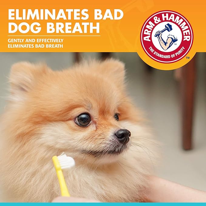 Arm & Hammer for Pets Fresh Breath Enzymatic Dog Toothpaste, Chicken Flavor, Safe for Puppies and Adult Dogs, Daily Baking Soda Dental Gel to Eliminate Bad Breath, 2.5 Oz