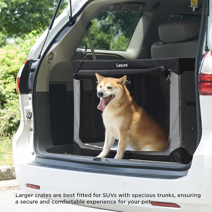 Lesure Today Show Soft Collapsible Dog Crates for Large Dogs, 36in Black | Portable Travel Camping Pet Kennel, 4-door, Indoor and Outdoor Use, Easy to Set Up and Fold, For Large Breeds Up to 70 lbs