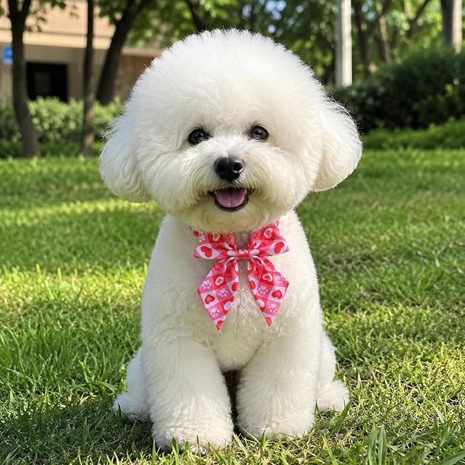 PET SHOW 10 Pack Paw Sailor Dog Bowties for Small Dogs