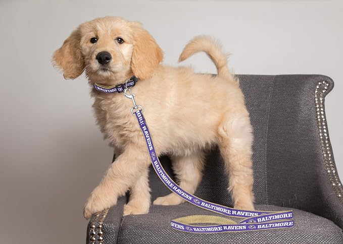 Baltimore Ravens Satin Leash