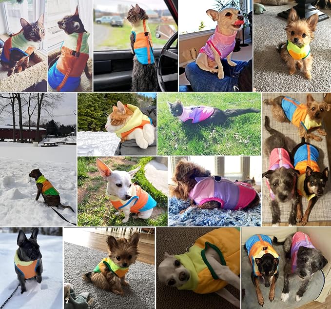 Idepet Pet Dog Cat Coat with Leash Anchor Color Patchwork Padded Puppy Vest Jacket Teddy Chihuahua Costumes Pug Cloth XS S M L (X-Large, Black)