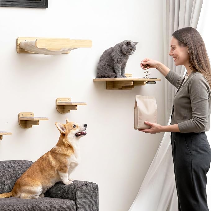 Cat Wall Shelves - Wall Mounted Cat Shelves with Feeding Station | Solid Pinewood, Beige Carpet, Supports Up to 33 lbs, Stainless Bowls, Dog-proof, Lounging, Climbing