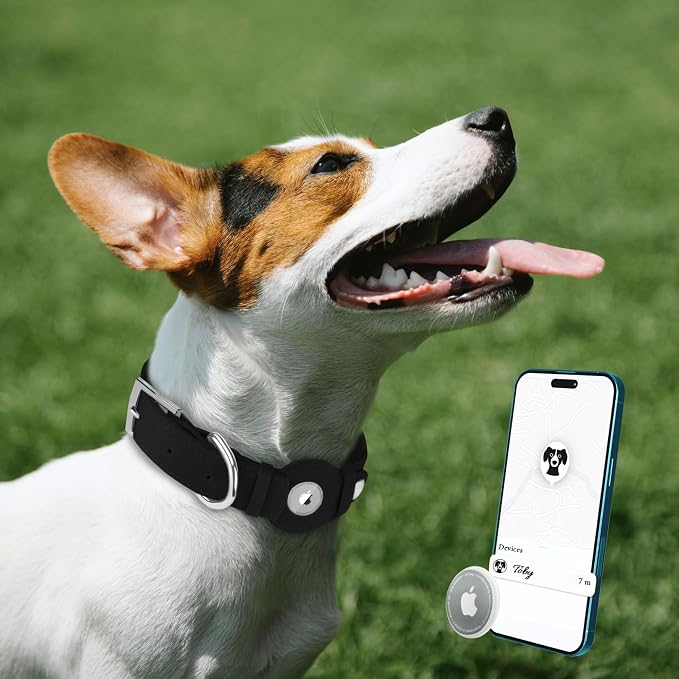 Leather Dog Collar with Airtag Holder - Apple Air Tag Dog Collars - Soft Tracking GPS Pet Collar for Small Medium Large Dogs Breed Puppy (Black, XL, 19"-24" Neck Fit)