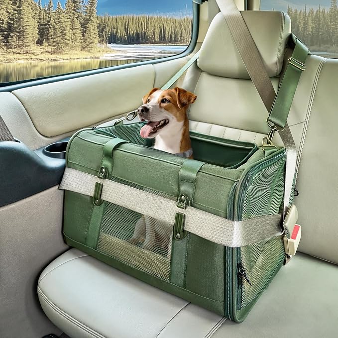 Petsfit 19x12x12 Pet Carrier for Large Cats (up to 20 lbs), Soft-Sided Small Dog Travel Carrier, Upgraded with Patented Buckle and Soft Padding, Ideal for Car Road Trips Green