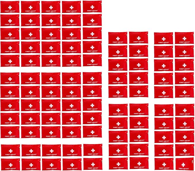 First Aid Bags Empty,Mini First Aid Pouch Empty,Mini First Aid Kit Bulk,Zipper Pouches for Emergency,Travel and Outdoor (Red 100 Pack, 4.3 * 6.3 inch)