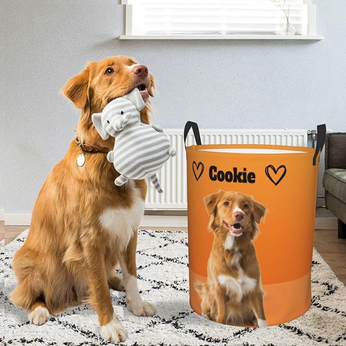 Personalized Large Dog Toy Storage Basket Bin Collapsible Custom Pet Stuff Box Chest Container for Living Room Organizer for Dog Toys,Dog Food,Blankets,Clothing (Orange)