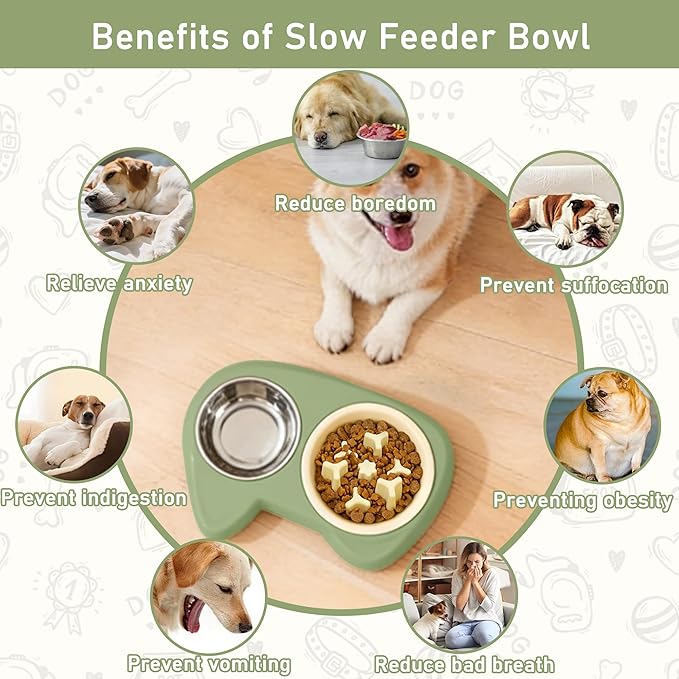 4 in 1 Slow Feeder Dog Bowls, Anti-Choking Dog Bowl Set with Non-Slip Silicone Mat, Slow Feeder Bowl, Stainless Steel Water Bowl, Standard Bowl for Small Medium Dogs Cats Puppies