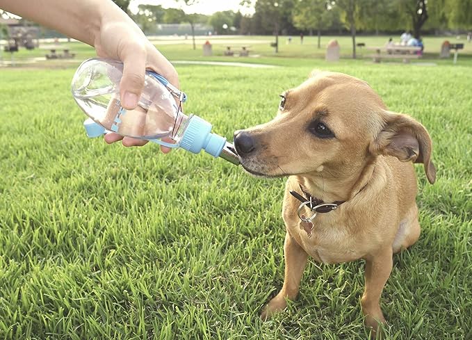 Choco Nose No-Drip Portable Travel Water Bottle for Small Dogs & Cats - Lockable Leak-Proof Design Prevents Spills in Bags & Cars, Outdoor Feeder for Puppies & Toy Breeds, 8 fl oz Pink (C258)
