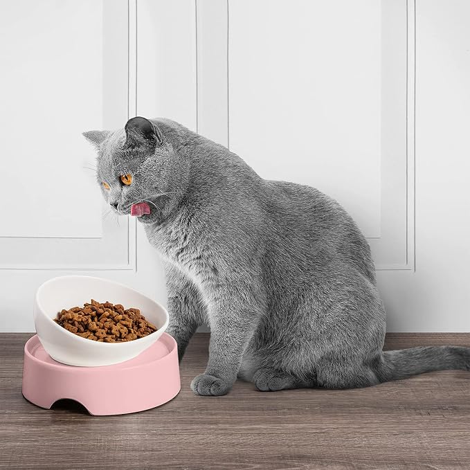 CatGuru Food Table for Cat Bowls, Elevated Feeding Station for Cat Food Bowl, Raised Stand for Pet Food and Water Bowls, Pet Feeder for Indoor Cats, Stress Free Stand for Pet Dishes (Pink, Standard)