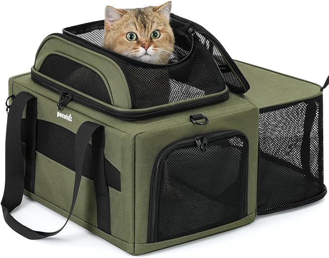 Pecute Top Expandable Airline Approved Pet Carrier for Cats, Olive Green | Airline Approved Dog Carrier, Under-seat, Breathable, Anti-scratch Mesh, Safety Leash, Locking Zippers, Leakproof Pee Pad