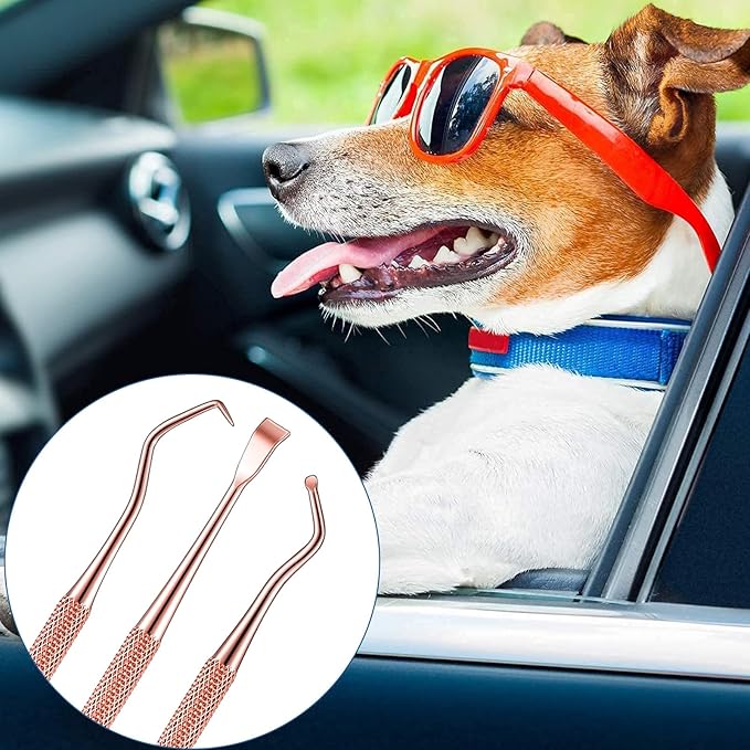 Hotop 3 Pieces Dog Dental Tooth Scaler and Scraper Stainless Double Headed Tarter Removing Tool Scraper Pet Teeth Cleaning Tools for Dog and Cat (Rose Gold)