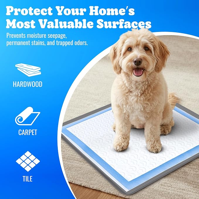 Dog Pee Pad Holder - Fits Up to 24” x 24” Pee Pad - 1 Pack - Dark Grey | Stable Grip, Raised Edges, Quick-Wipe Silicone Surface Dog Potty Tray Holder for Indoor Flooring Protection