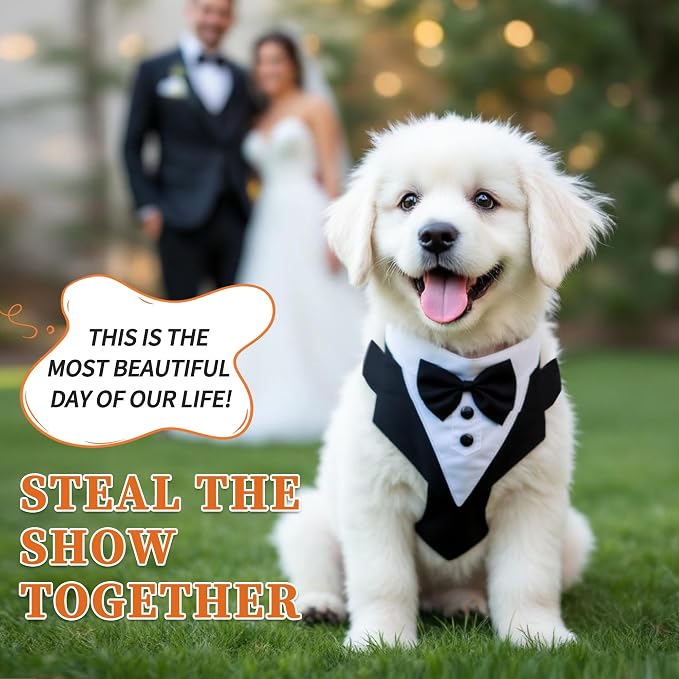 Dog Tuxedo for Wedding, Pet Tuxedo Suit with Bow Tie, XLarge | Pet Costumes for Small Dogs, Formal Party Attire for Halloween Christmas, Black White